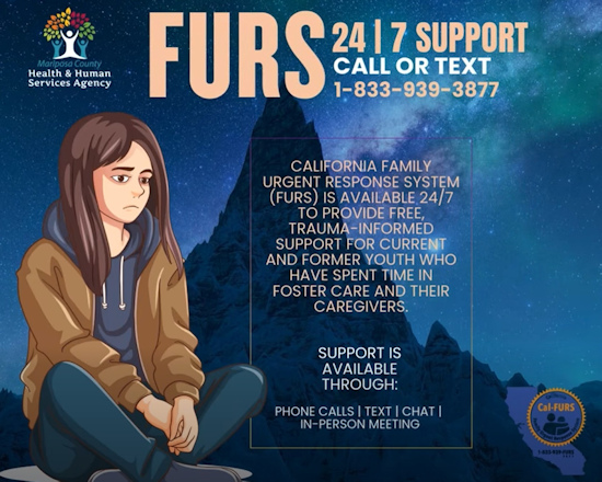 MHHS furs