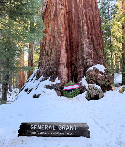 NPS General Grant