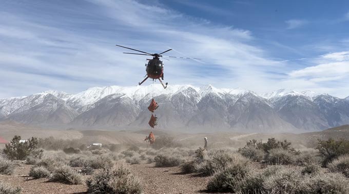 cdfw1230 HelicopterDeerCapture
