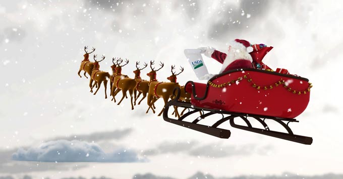 santa reindeer