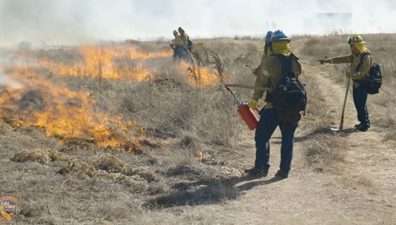 CAL FIRE burns