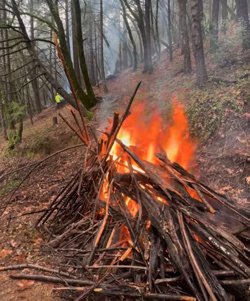 CAL FIRE prescribed fire