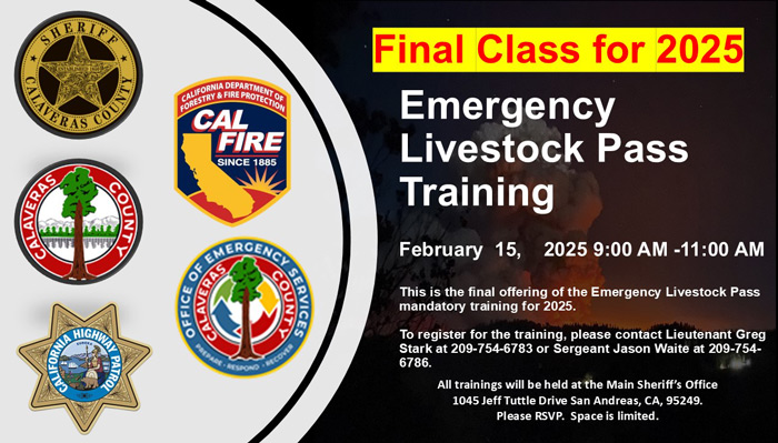 CCSO training