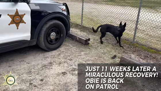 Madera SO Obie