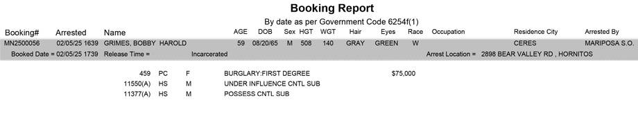 mariposa county booking report for february 5 2025