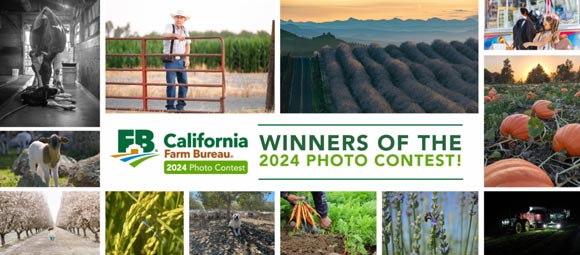 2024 photo winners ca farm bureau