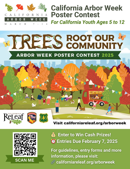 CAL FIRE trees