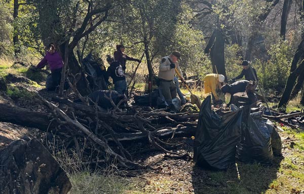 EDSO cleanup 4