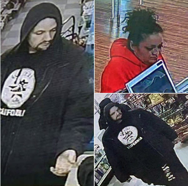 FCSO thieves