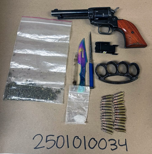 FPD burglary