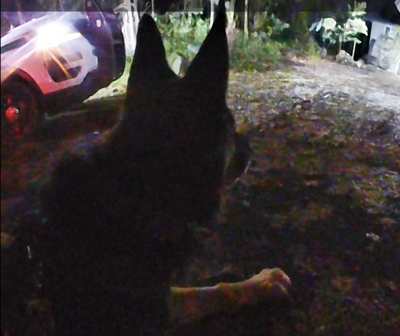 NCSO burglary
