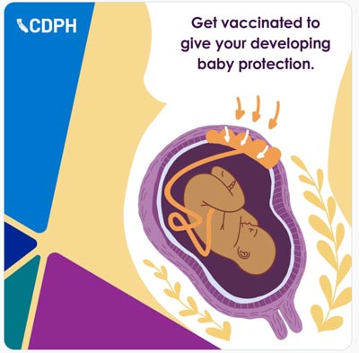 cdph104