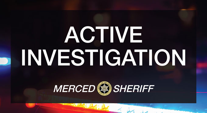 mcso801.1