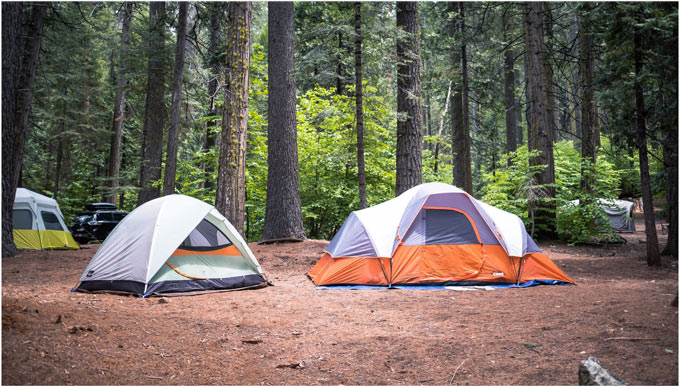 California State Parks Camping at Calaveras Big Trees State Park