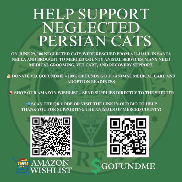 MCSAS cats