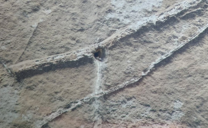 NPS peregrine falcon nest