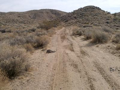 blm704 BLM CA El Paso Mining Project