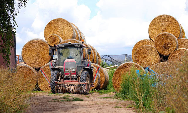 hay tractor 5519718 640