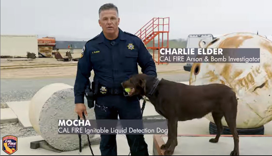 CAL FIRE dog