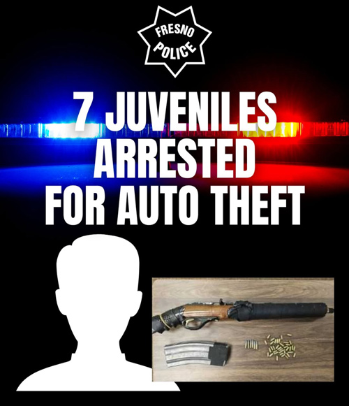 FPD auto theft