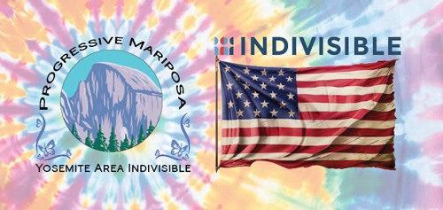 Indivisible logo