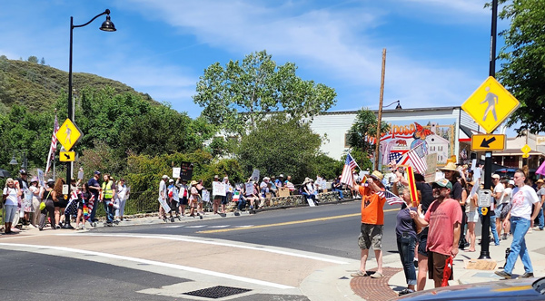 No Kings protest 600