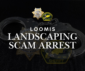 PCSO landscaping