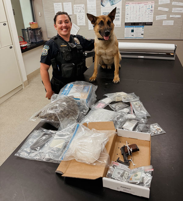 TPD Sanchez 2