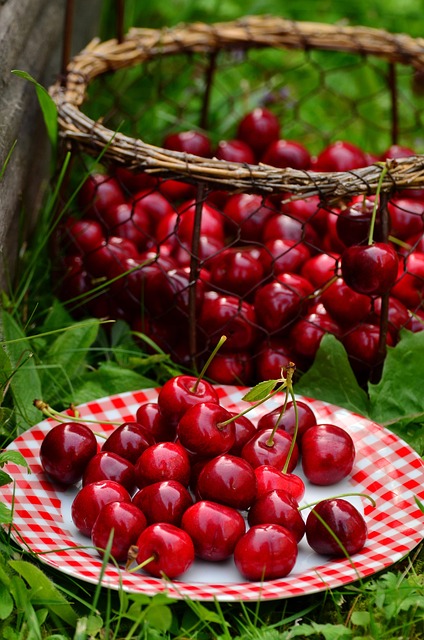 cherries 1503977 640