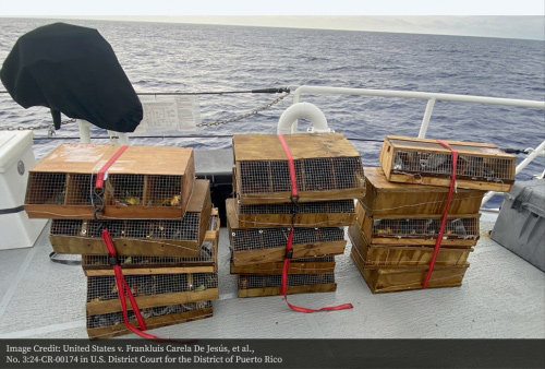 DOJ Recovered crates from US v De Jesus et al