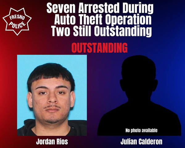 FPD auto theft 1