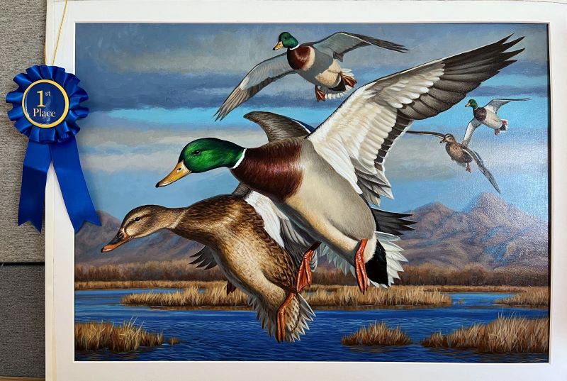 cdfw 2024 duck stamp winner 1st Fisher800