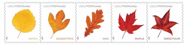 usps vibrant leaves fall onto postcard stamps 1