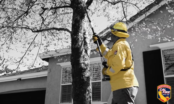 CAL FIRE preparedness