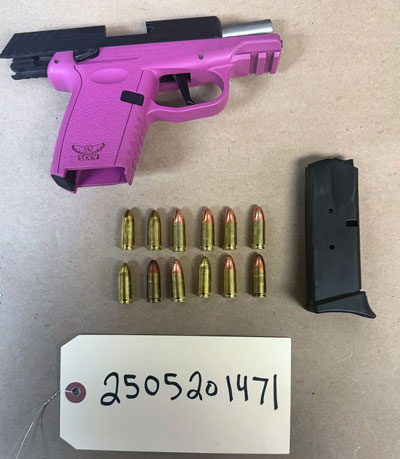 FPD pink gun