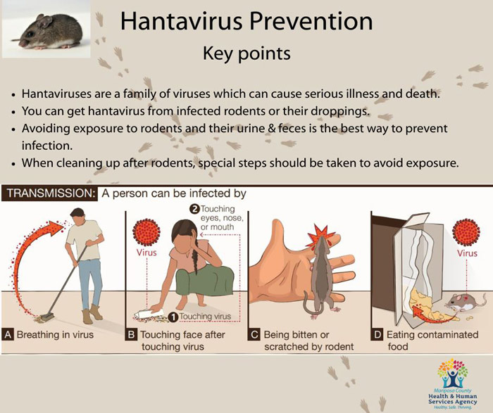 MHHS Hantavirus