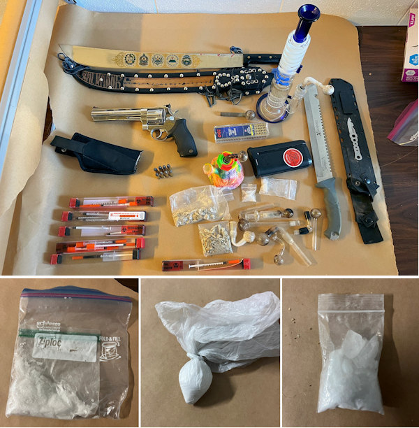 CCSO drugs 1