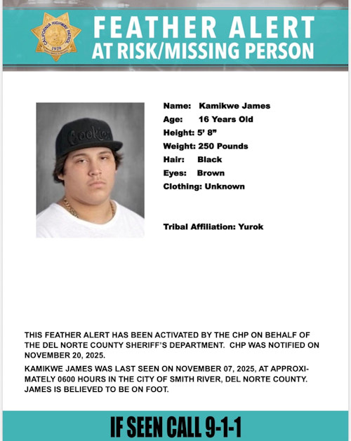 ICSO missing James