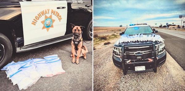 Merced CHP K9 Jag