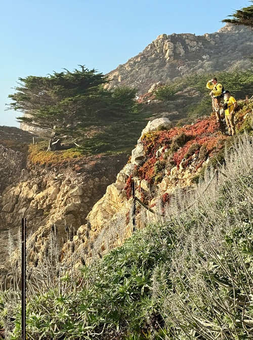 Monterey SO rescue 5