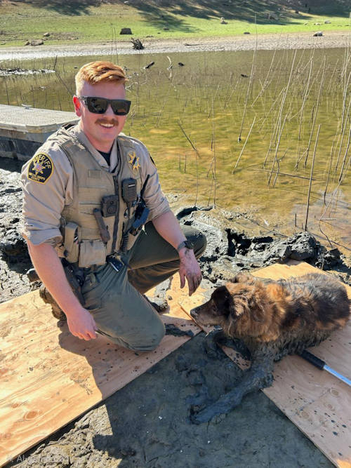 SLOSO dog rescue