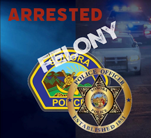 SPD felony