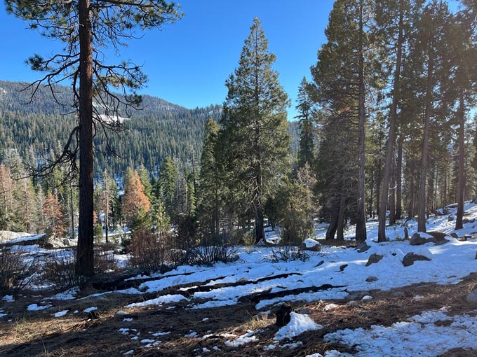 Sequoia and Kings Canyon National Parks Giant Forest light snow
