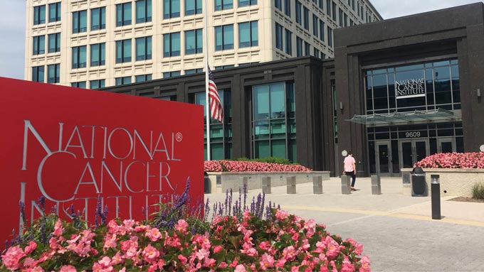 national cancer institute