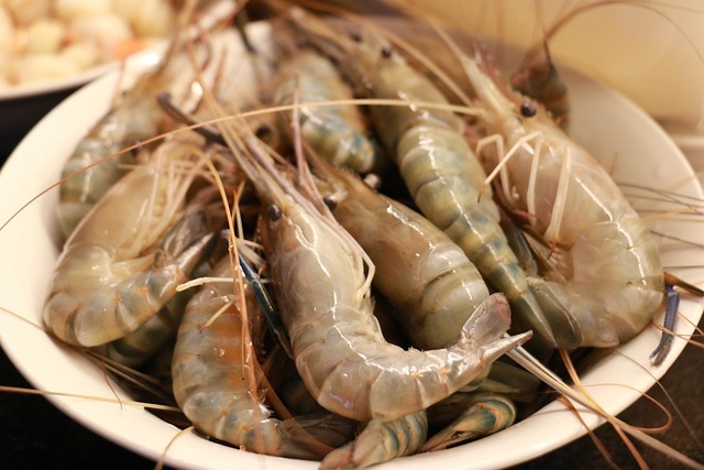 shrimp food 1428728 640
