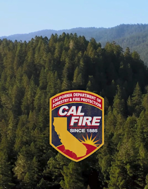 CAL FIRE trees