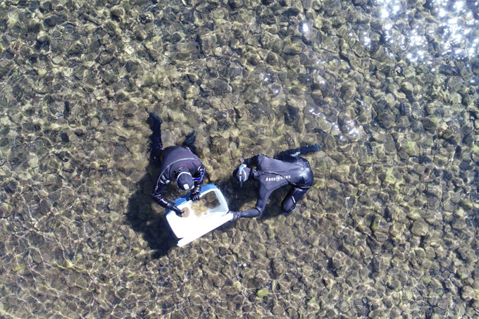 Drone captures UC Davis Tahoe Environmental Research scientists doing periphyton research (Brandon Berry, UC Davis TERC)