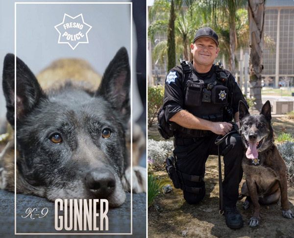 FPD K9 Gunner