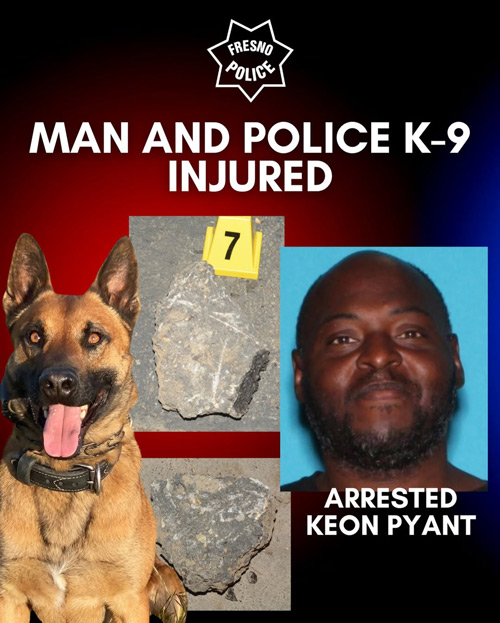 FPD K9 assault