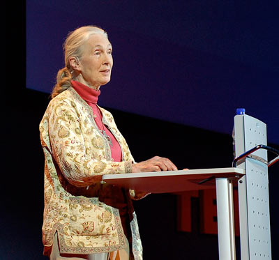 Jane Goodall at TEDGlobal 2007 wiki